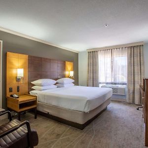 Petite Queen Room Non-Smoking or 1st Floor